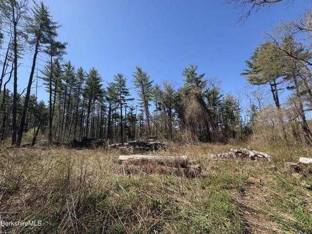 Land for sale in Berkshire, Massachusetts