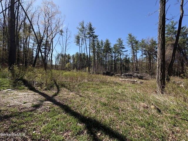 Land for sale in Berkshire, Massachusetts