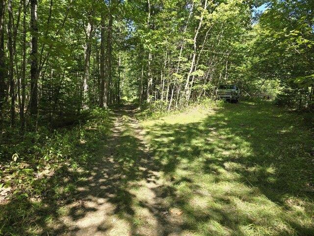 Land for sale in Levant, Penobscot County