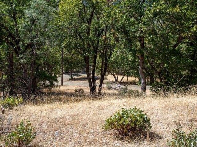 Land for sale in Lewiston