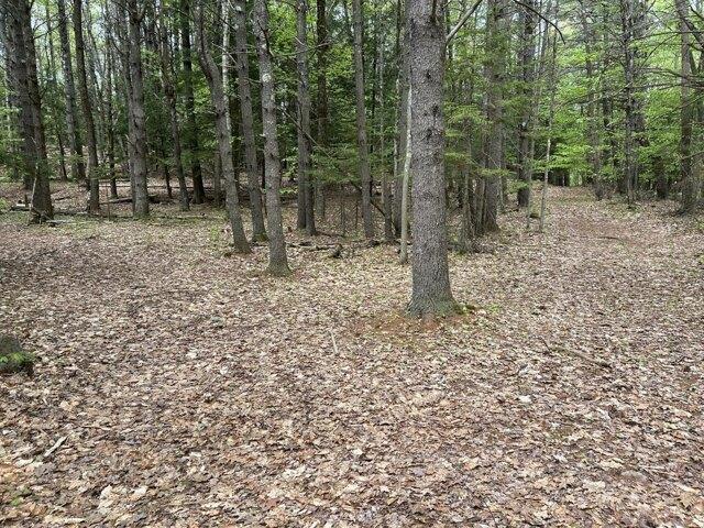 Land for sale in Lewiston, Maine