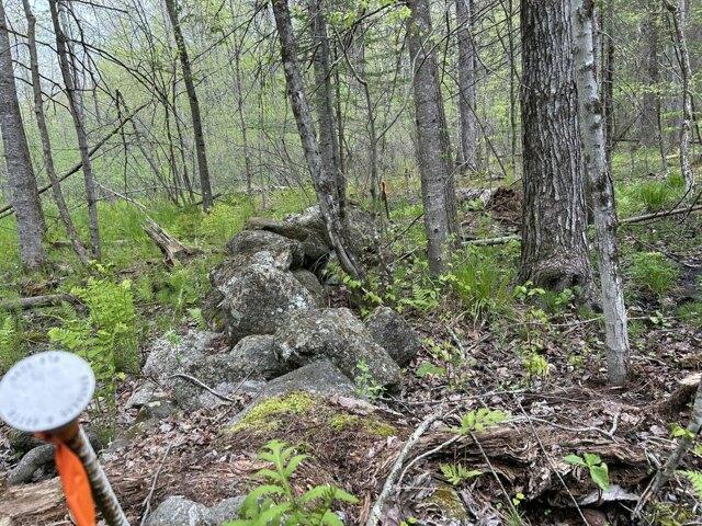 Land for sale in Lewiston, Maine