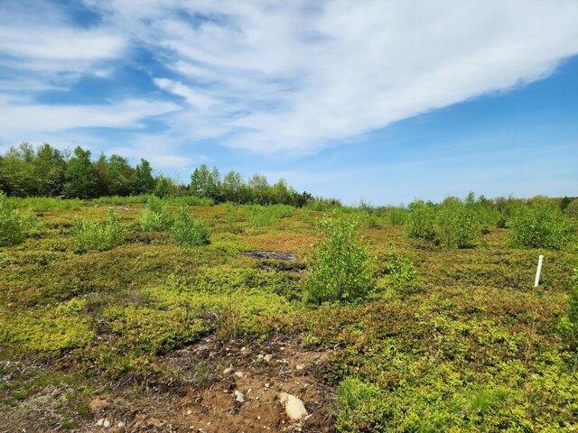 Land for sale in Waldo, Maine
