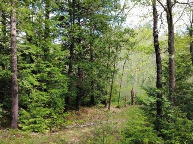 Land for sale in Waldo, Maine