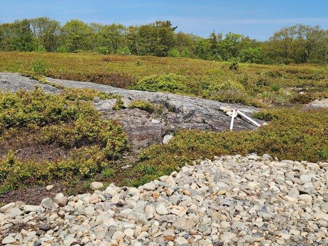 Land for sale in Waldo, Maine