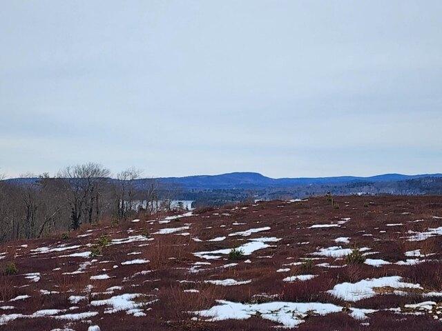 Land for sale in Waldo, Maine