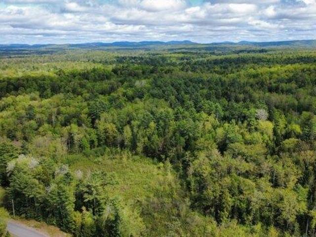 Land for sale in Waldo, Maine