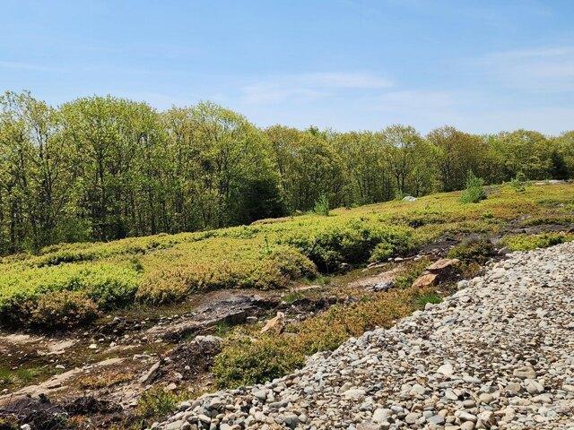 Land for sale in Waldo, Maine