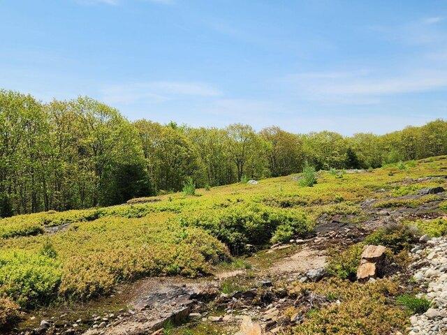 Land for sale in Waldo, Maine