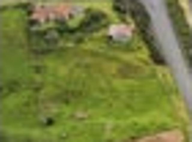 House for sale in Te Kauwhata, Waikato