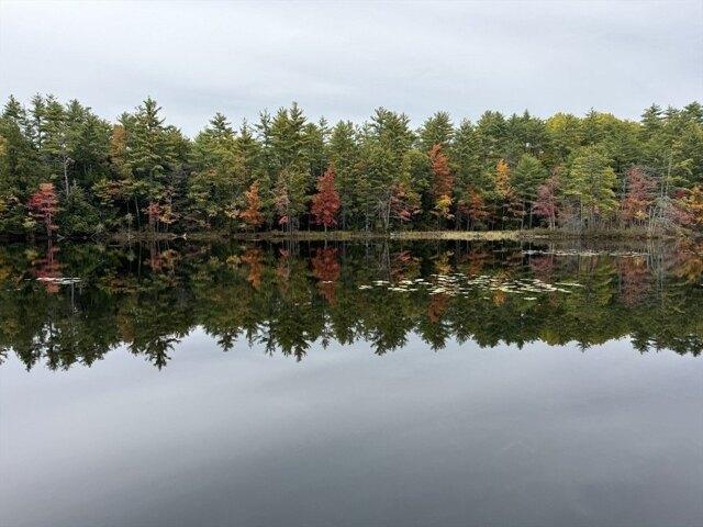 Land for sale in Limerick, Maine