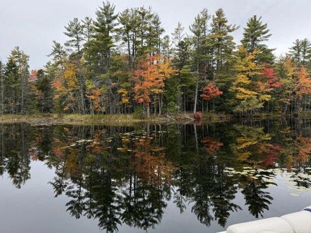 Land for sale in Limerick, Maine