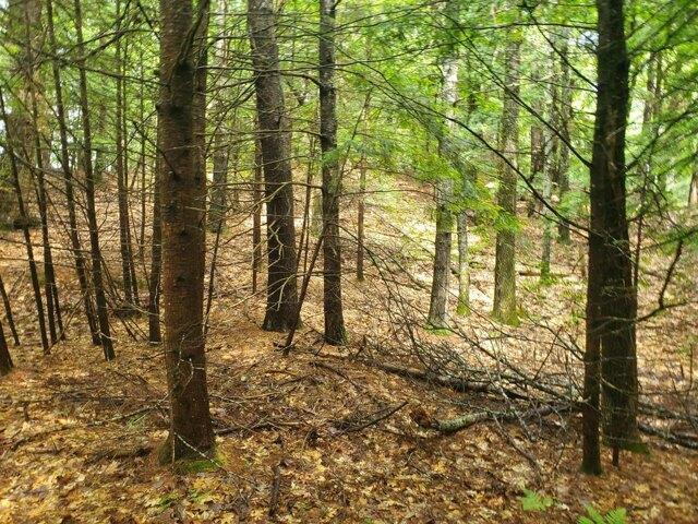 Land for sale in Limerick, Maine