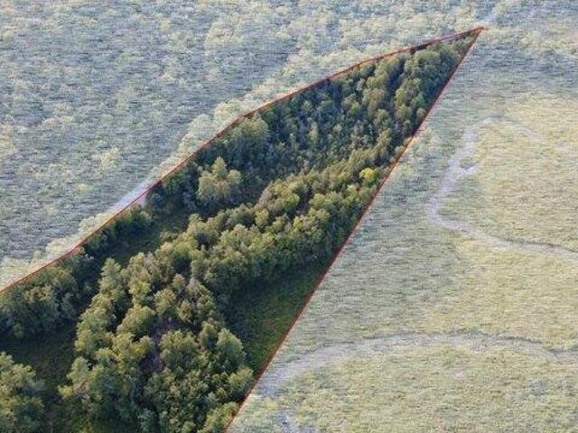Land for sale in Limerick, Maine