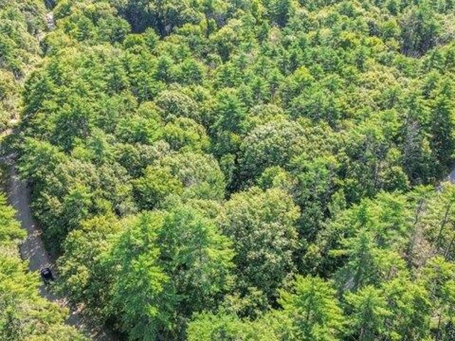 Land for sale in Limerick, York County