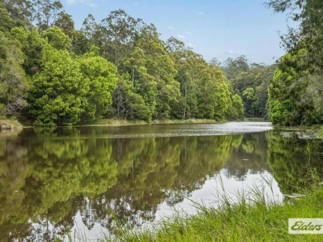 Land for sale in Limpinwood, Tyalgum