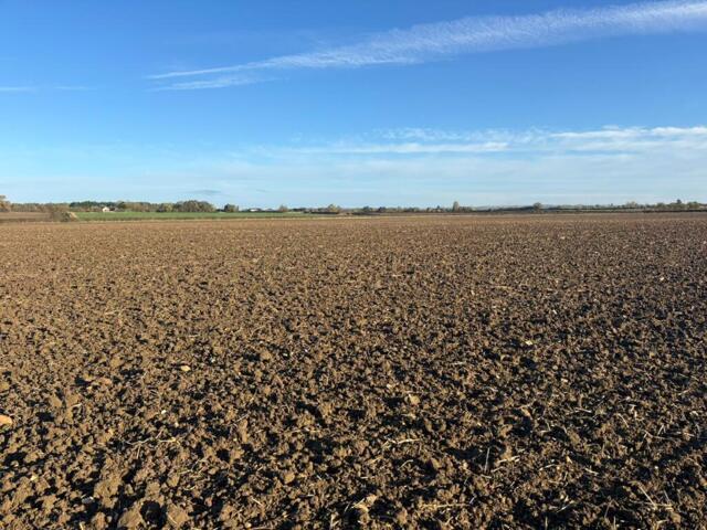 Land for sale in Ingleby, Lincolnshire