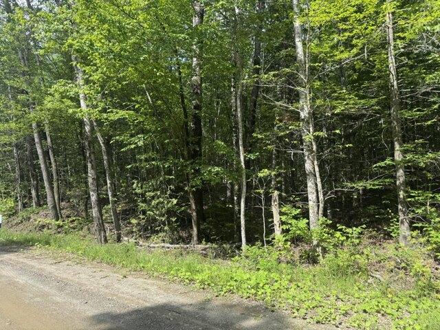 Land for sale in Lincoln, Maine