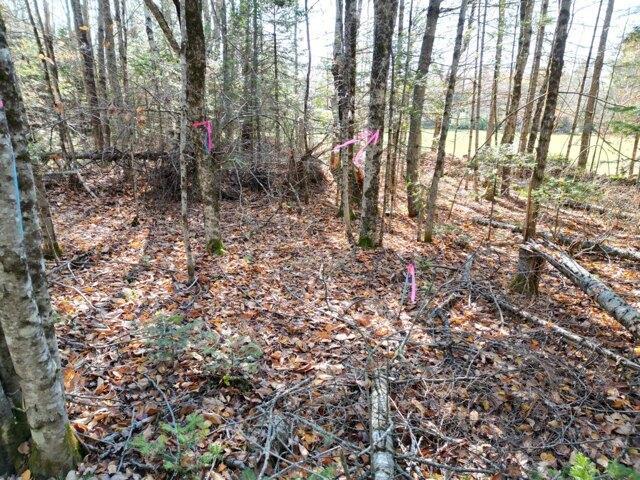 Land for sale in Lincoln, Maine