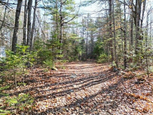 Land for sale in Lincoln, Maine