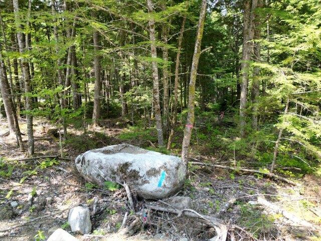 Land for sale in Lincoln, Maine