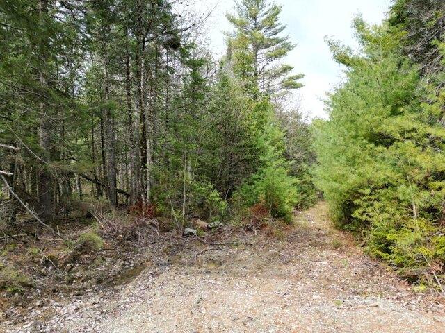 Land for sale in Lincoln, Maine