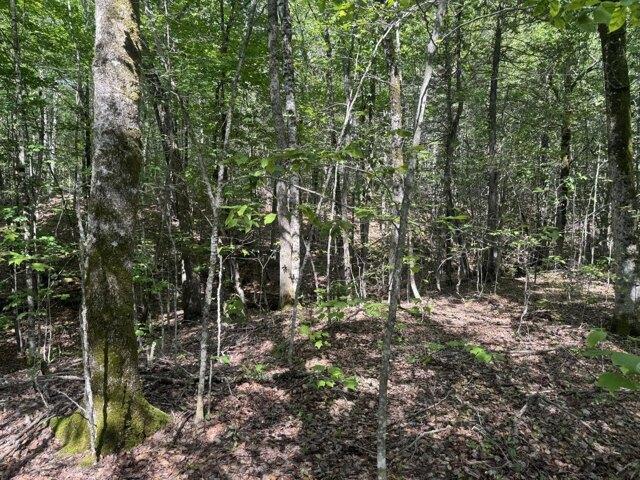 Land for sale in Lincoln, Maine