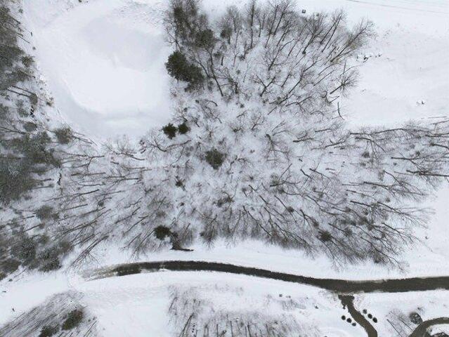 Land for sale in New Hampshire