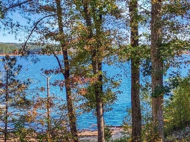 Land for sale in Lincolnton, Georgia