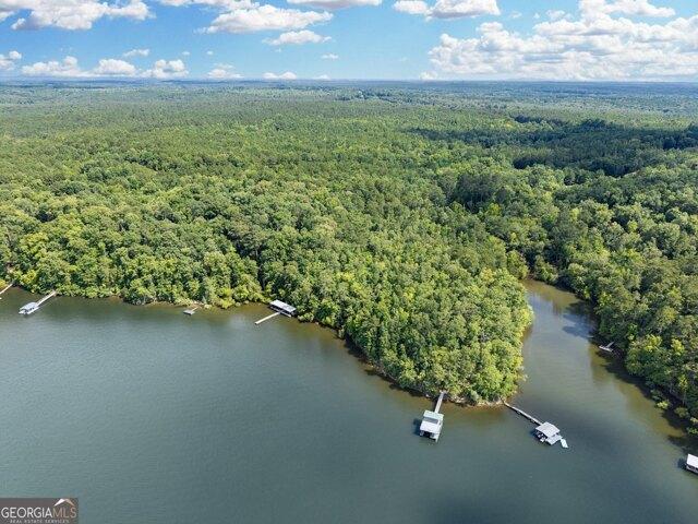 Land for sale in Lincolnton, Georgia