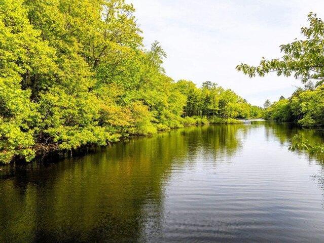 Land for sale in Waldo, Maine