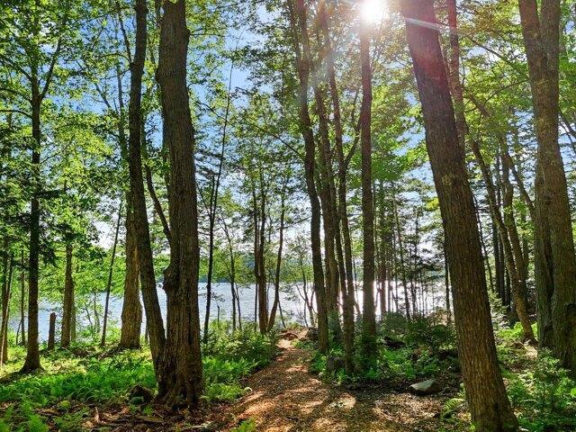 Land for sale in Waldo, Maine