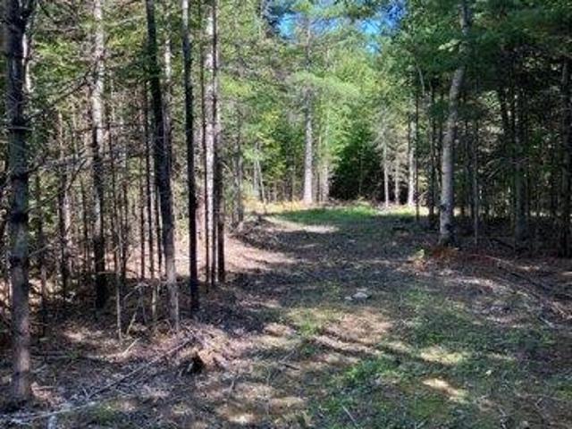 Land for sale in Lincolnville, Waldo County