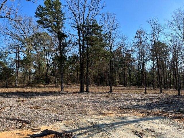 Land for sale in Smith, Texas