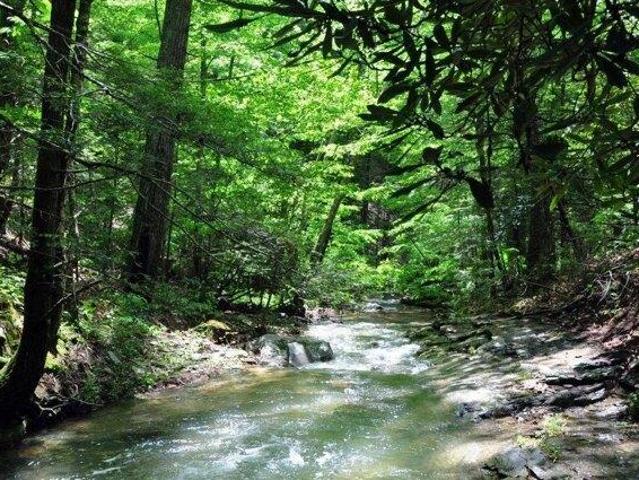 Land for sale in West Virginia