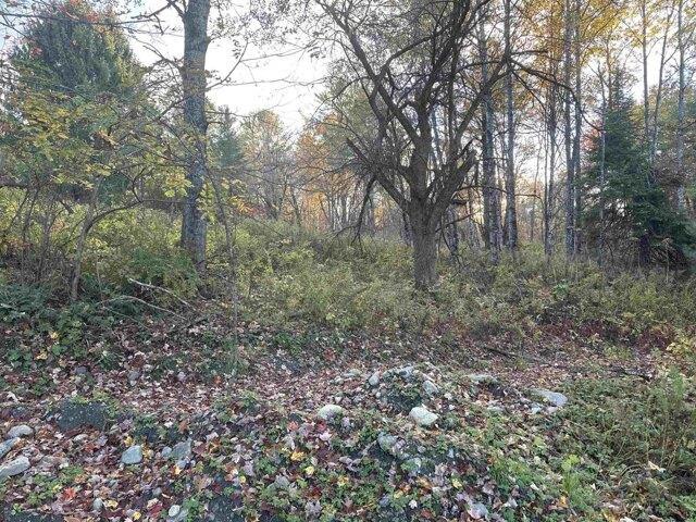 Land for sale in New Hampshire