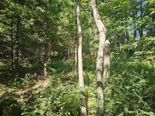 Land for sale in New Hampshire