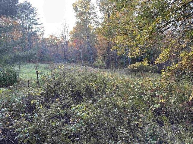 Land for sale in New Hampshire