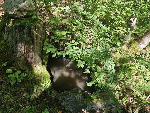 Land for sale in New Hampshire