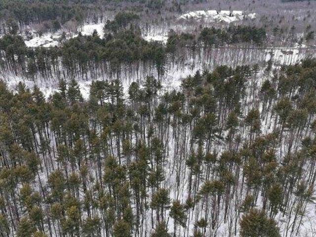 Land for sale in New Hampshire