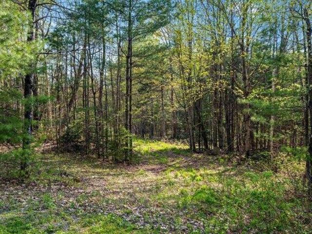 Land for sale in Littleton, Grafton County