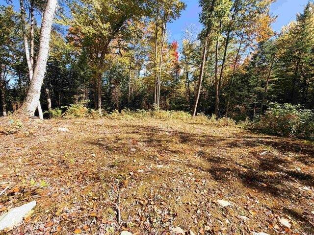 Land for sale in Littleton, Grafton County