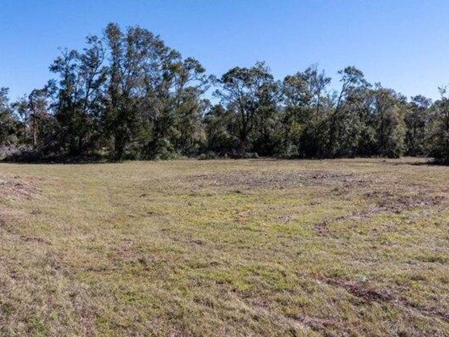 Land for sale in Suwannee, Florida