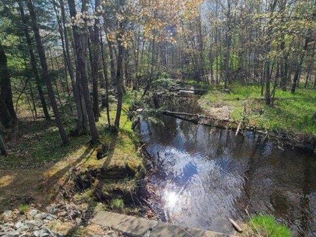 Land for sale in Livermore, Maine