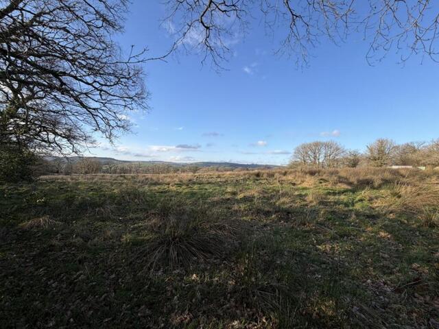Land for sale in Talley, Wales