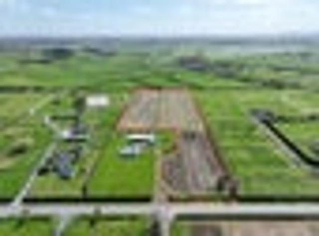 Land for sale in Waikato District, Waikato