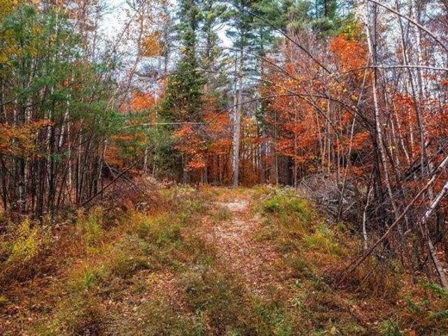 Land for sale in Londonderry, Vermont