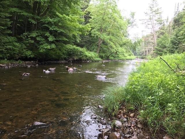 Land for sale in Londonderry, Vermont