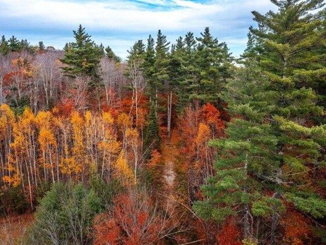 Land for sale in Londonderry, Vermont