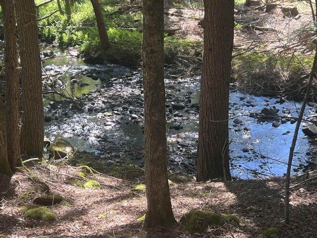 Land for sale in Loudon, Merrimack County